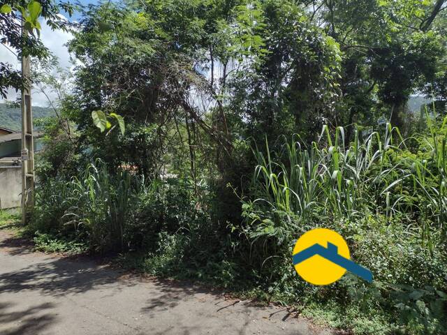 #1040 - Terreno para Venda em Niterói - RJ - 3