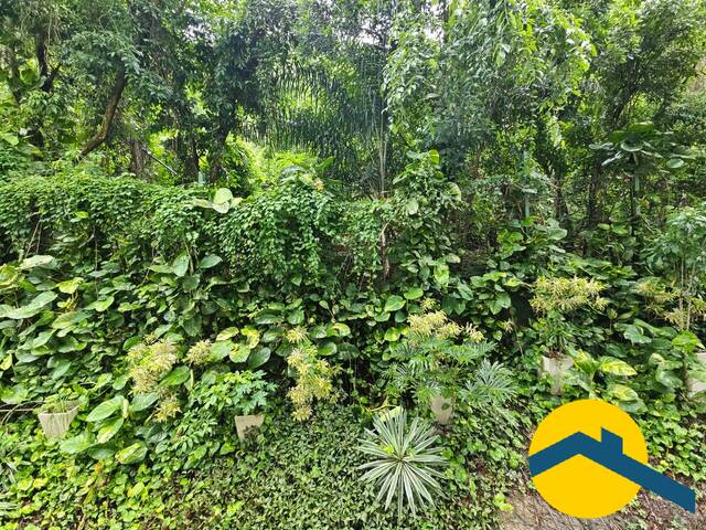 Apartamento para Venda em Niterói - 3