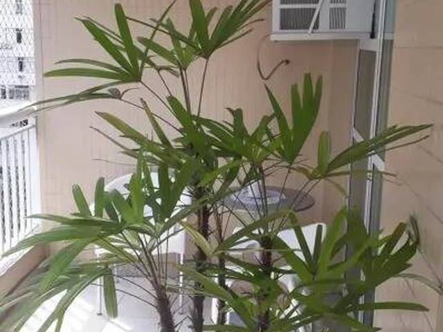 Apartamento para Venda em Niterói - 2