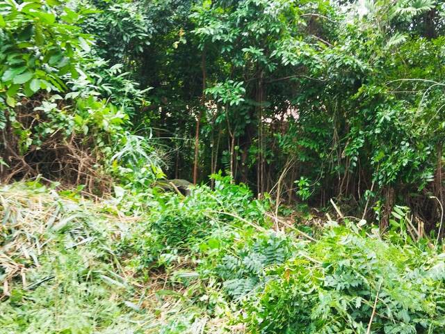 Área para Venda em Niterói - 2