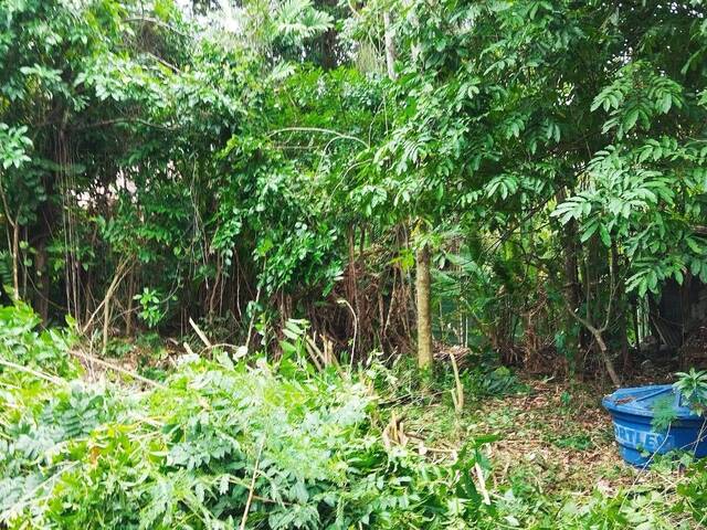 Área para Venda em Niterói - 3