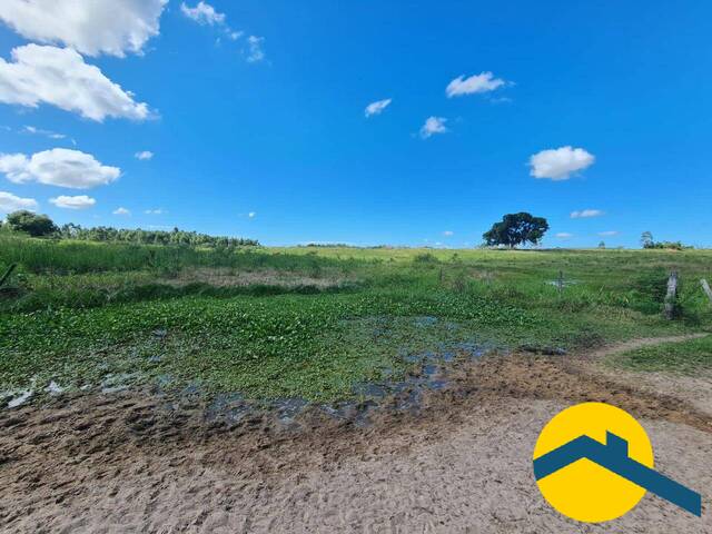 Chácara para Venda em Araruama - 4