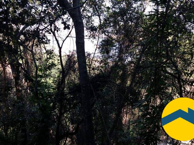 Área para Venda em Niterói - 3