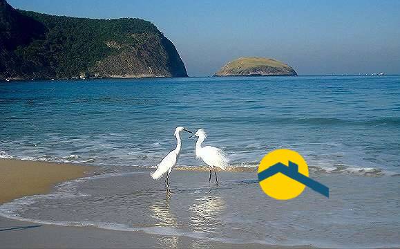 Apartamento, 1 quarto, 30 m² - Foto 27