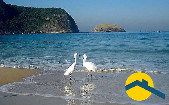 Casa, 2 quartos, 90 m² - Foto 17