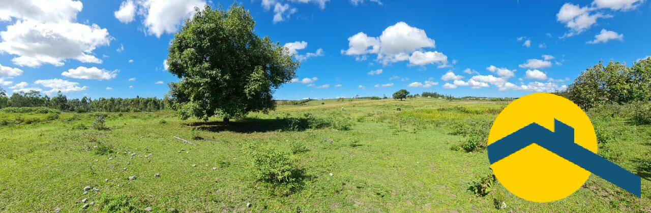 Terreno, 52 hectares - Foto 2