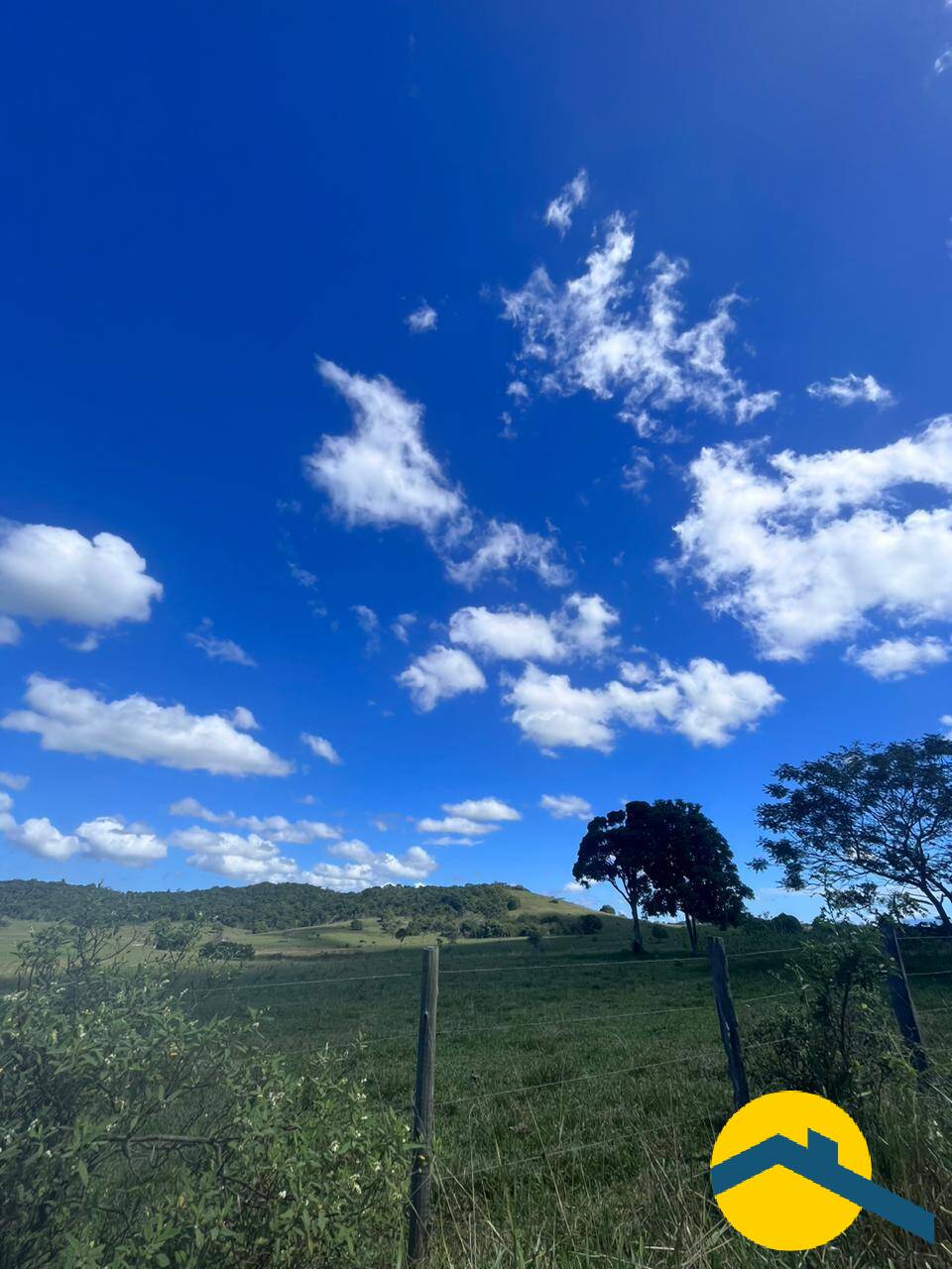 Terreno, 52 hectares - Foto 12