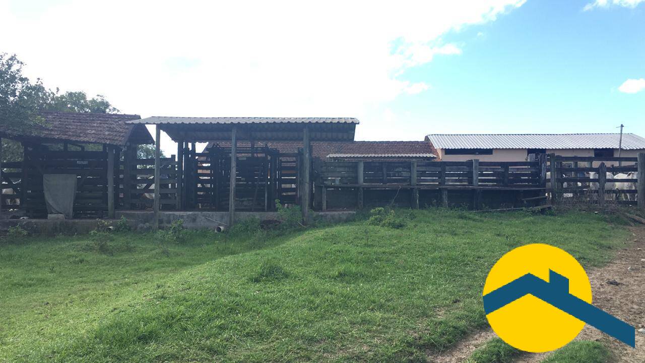 Terreno, 52 hectares - Foto 1