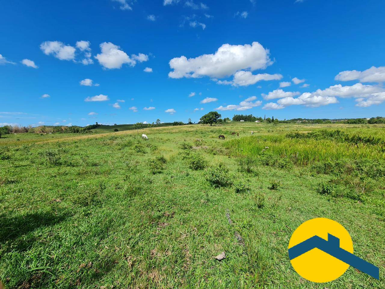 Terreno, 52 hectares - Foto 36
